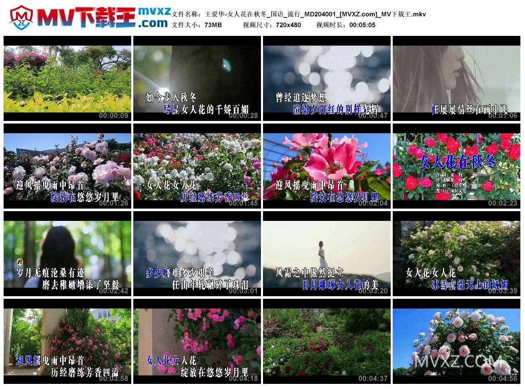 王爱华-女人花在秋冬_国语_流行_MD204001